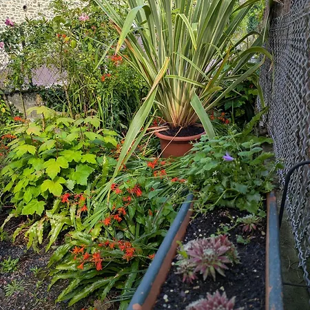 Διαμέρισμα Gourmandise